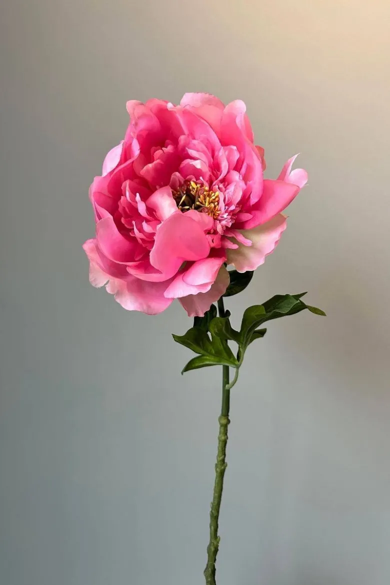 Pip Künstliche Blumen Rosefield Dreams