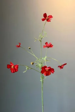 Pip Künstliche Blumen Rosefield Dreams